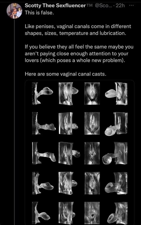 are vaginas attractive|Research reveals the perfect vagina in mens eyes